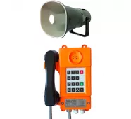 Телефонный аппарат ТАШ-21ПА фото
